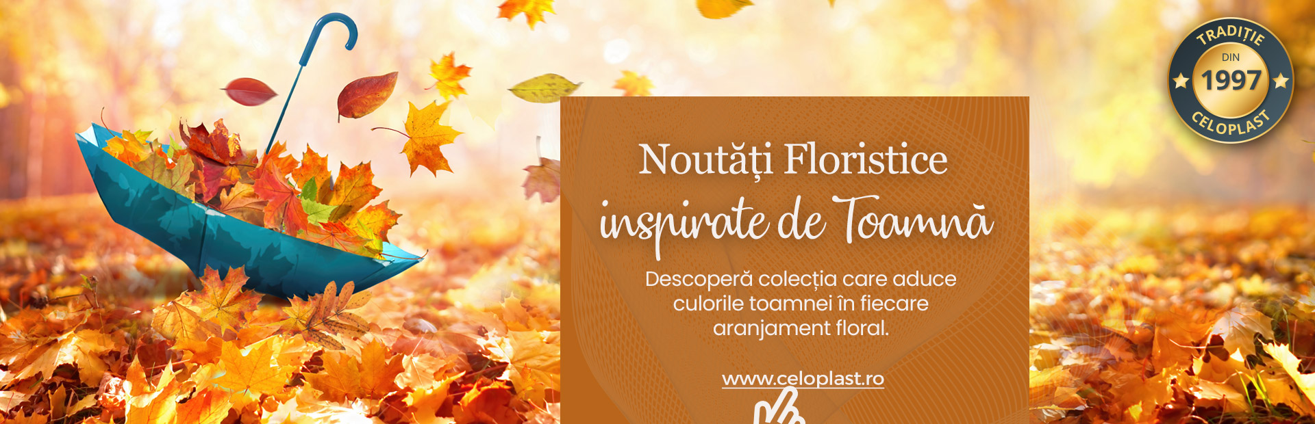 Ambalaje, decoratiuni si accesorii pentru flori. Produse de calitate la pret de importator, cu livrare in toata Romania.