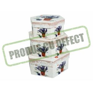 Cutii hexagon pentru flori set 3 buc
