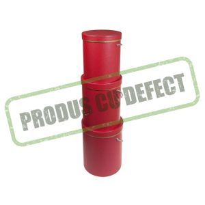 Cutii tip cilindru pentru flori set 3 buc