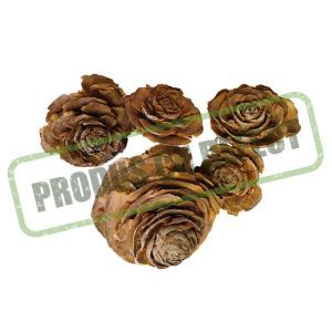 Cedar rose pentru aranjamente florale