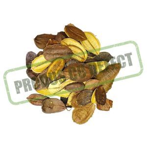 Plante uscate pentru aranjamente florale
