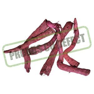 Bete bambus color pentru aranjamente florale