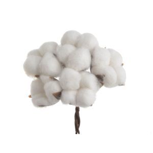 Buchet 5 flori bumbac pentru aranjamente florale set 2 buc