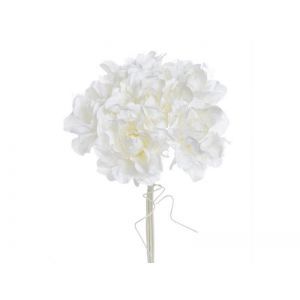 Buchet 6 trandafiri+dantela color pentru aranjamente florale