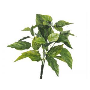 Buchet frunze