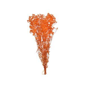 Buchet gipsofila color pentru aranjamente florale