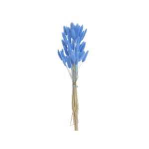 Buchet lagurus flori uscate color pentru aranjamente florale
