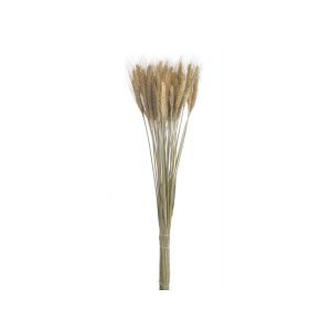 Buchet spice color pentru aranjamente florale