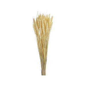 Buchet spice color pentru aranjamente florale