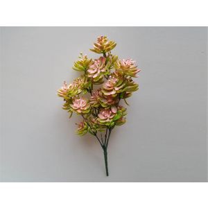 Buchet sukulent