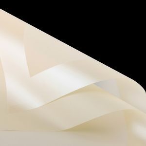 Coli folie color+chenar mat pentru buchet flori set 20 buc