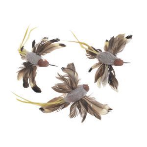 Colibri pene color pentru aranjamente florale set 3 buc