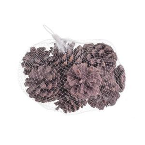 Con brad color pentru aranjamente florale set 12 buc
