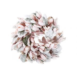 Coronita magnolie color+zapada+gheata