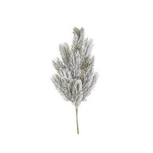 Crenguta brad+zapada pentru decoratiuni florale