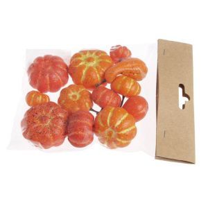 Dovlecei color pentru aranjamente florale set 12 buc