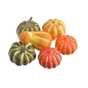Dovlecei color pentru aranjamente florale set 6 buc