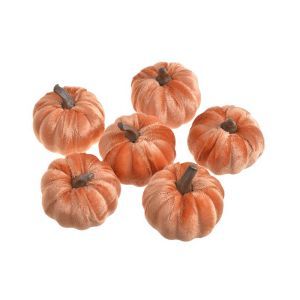 Dovlecel color pentru aranjamente florale set 6 buc