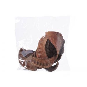 Elefant ear 200 g pentru aranjamente florale