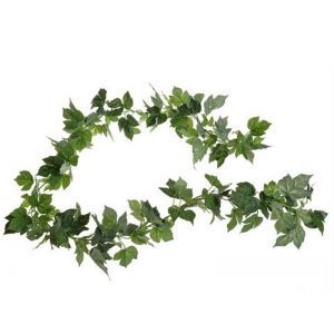 Ghirlanda verdeata
