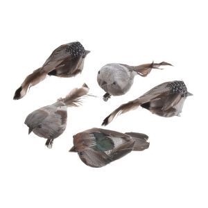 Pasari pene color pentru aranjamenet florale set 5 buc
