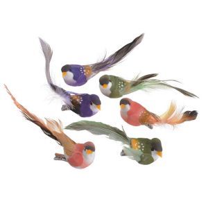 Pasari pene color pentru aranjamente florale set 6 buc