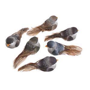 Pasari pene color pentru aranjamente florale set 6 buc