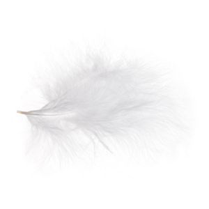 Pene color pentru aranjamente florale set 5 buc