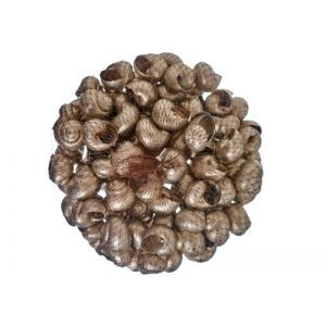 Saculet melci pentru aranjamente florale