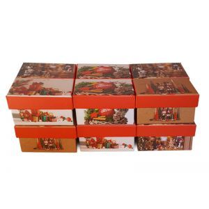 Cutii dreptunghiulare pentru flori set 12 buc