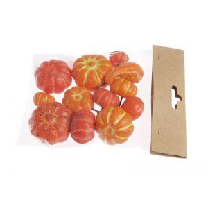 Dovlecei color pentru aranjamente florale set 12 buc