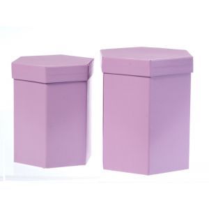 Set 2 cutii hexagon color