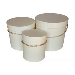 Cutii cilindru color pentru aranjamente florale set 3 buc