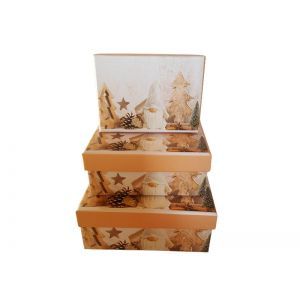 Cutii dreptunghiulare pentru aranjamente florale set 3 buc