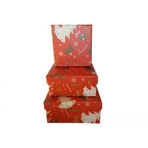Cutii patrate pentru aranjamente florale set 3 buc