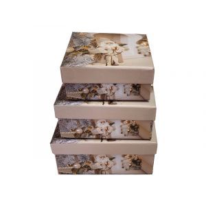 Cutii patrate pentru aranjamente florale set 3 buc