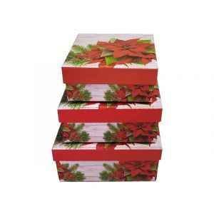 Cutii patrate pentru aranjamente florale set 3 buc