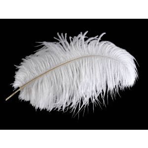 Pene albe 45 - 55 cm pentru aranjamente florale set 3 buc