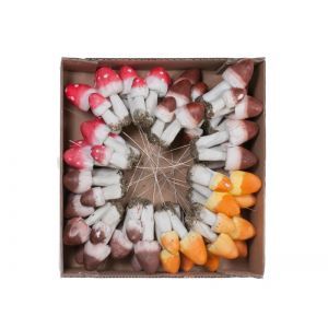 Set 48 ciuperci color