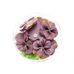 Panselute pentru aranjamente florale set 8 buc