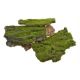 Bucati scoarta+muschi artificial pentru aranjamente florale model 2