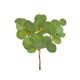 Buchet 3 fire frunze artficiale color pentru aranjamente florale model 3