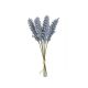 Buchet 6 fire amaranthus model 1