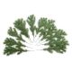 Crenguta brad artificial pentru decoratiuni florale set 12 buc model 1