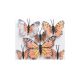 Fluturi pene color pentru aranjamente florale set 6 buc model 1