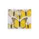 Fluturi pene color pentru aranjamente florale set 6 buc model 2