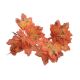 Frunze artificiale pentru decoratiuni florale set 10 buc model 3