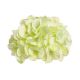 Capete hortensie din flori artificiale set 6 buc vernil