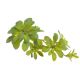 Sukulent artificial pentru aranjamente florale model 1