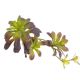 Sukulent artificial pentru aranjamente florale model 2